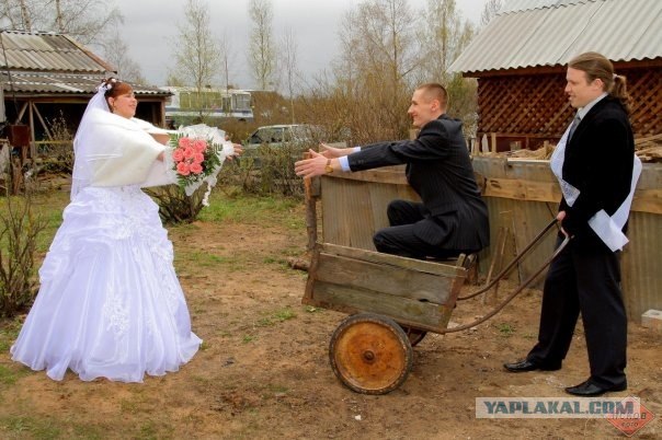 Забавные свадебные фото