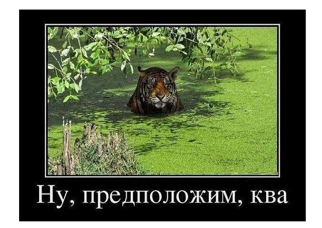 На что идут фотографы в погоне за снимком