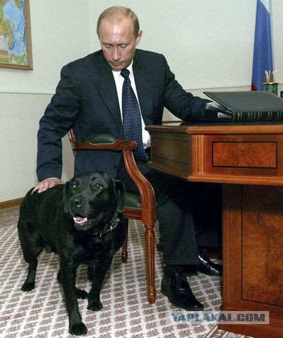 Учебник русского языка для американцев