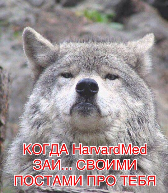 Придет серенький волчок