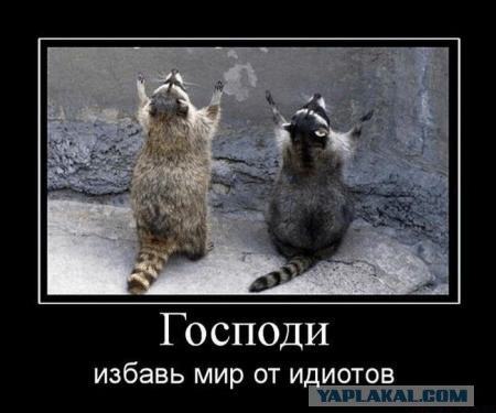 Новый Kinopoisk