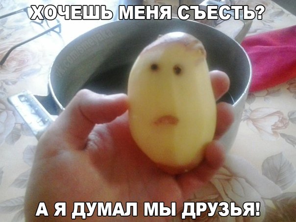 Разные картинки из сети