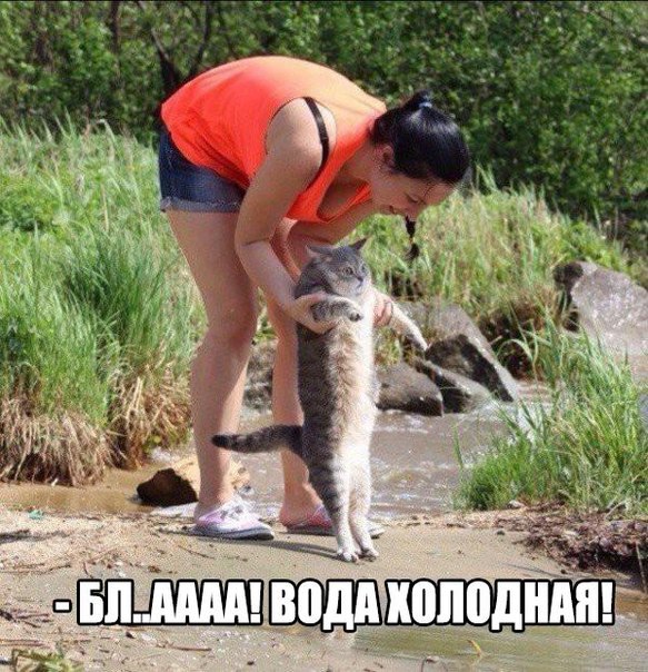 Немного картинок