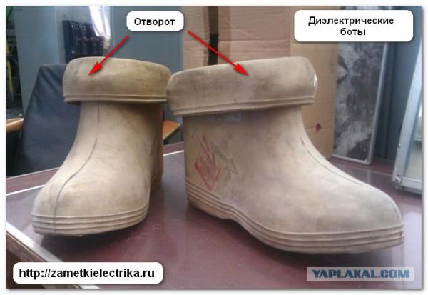 Кому не с кем отметить обезьяну 2