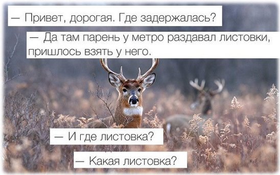 Подборка интересных и веселых картинок