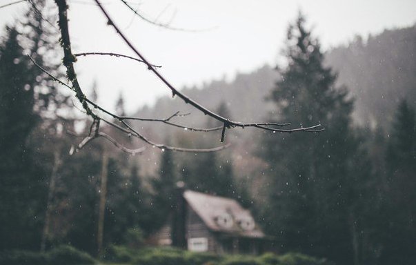 Забавные картинки из сети