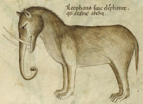 Слоны Средневековья: как нарисовать животное, которое ты никогда не видел?