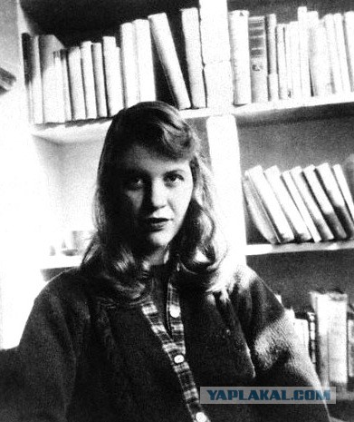 24 американских знаменитости, которые трагически свели счеты со своей жизнью