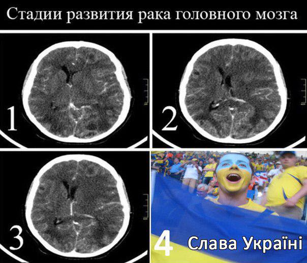 Украинский губернатор потребовал вернуть стране Воронеж, Ростов и Кубань
