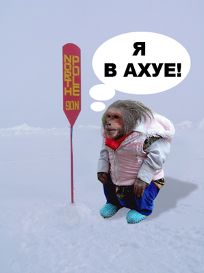 Фотожаба: Зима пришла
