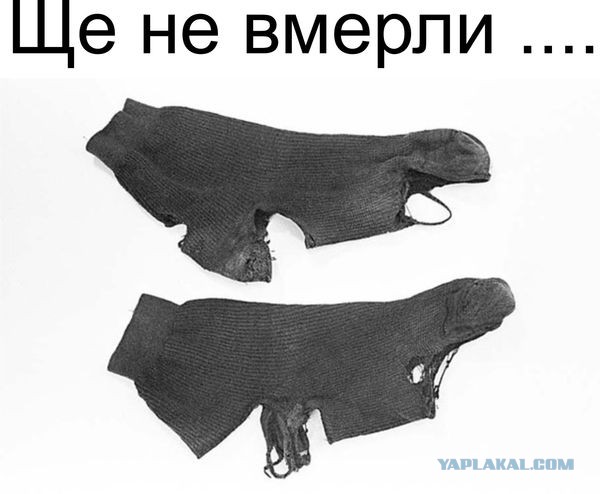 Каким иностранцы видят Путина