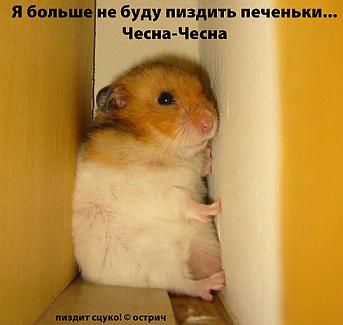 ХомякоПятница! (01.02)