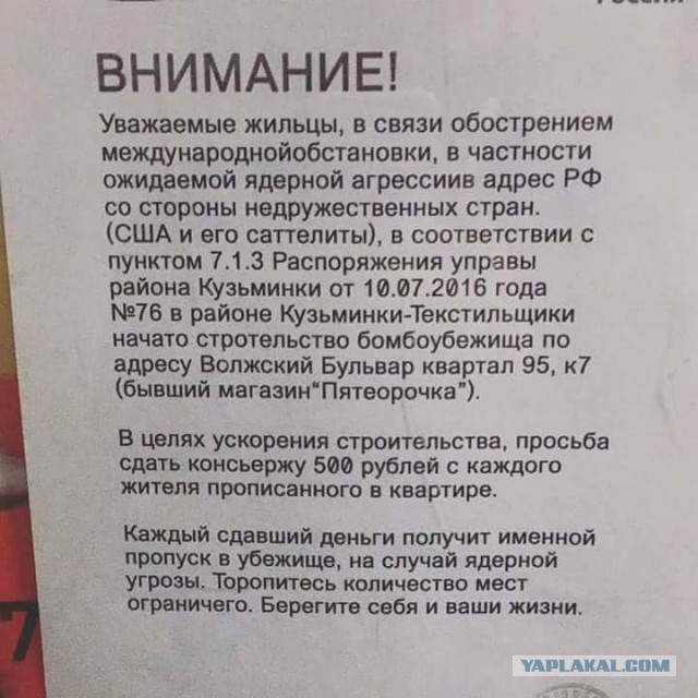 15 душевных объявлений из наших подъездов