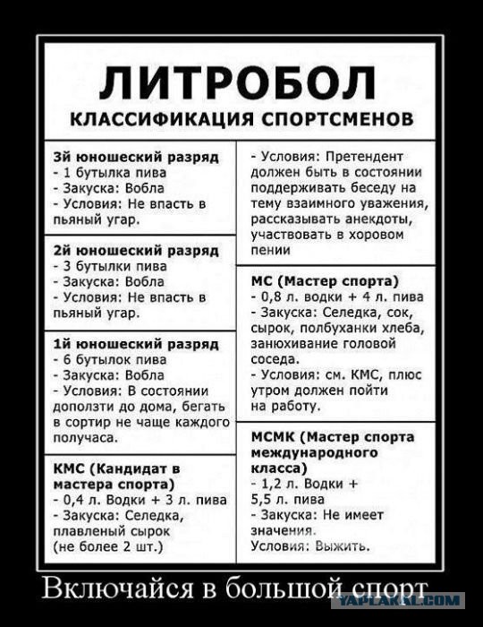 Сборная России по футболу перед матчем