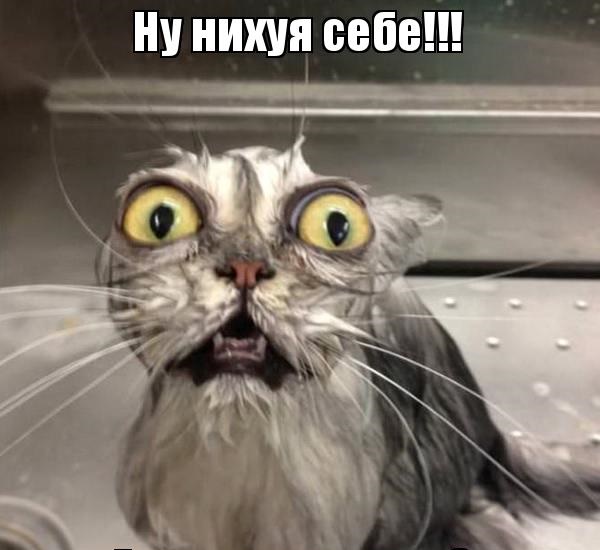 Сладкая месть