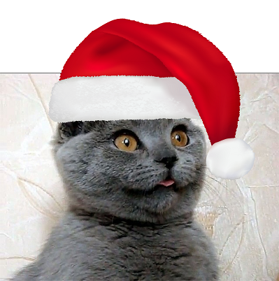 Яповцы, оновогоживайтесь!