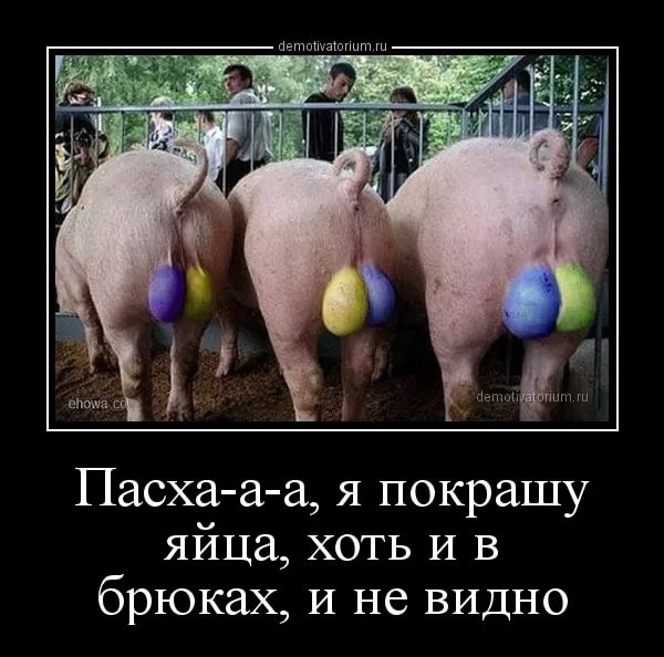 19-летний житель Иркутска задержан за оскорбление чувств верующих