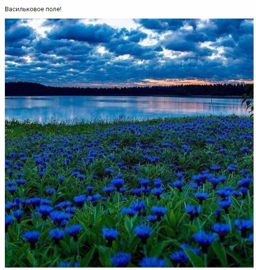 Подборка разного из сети