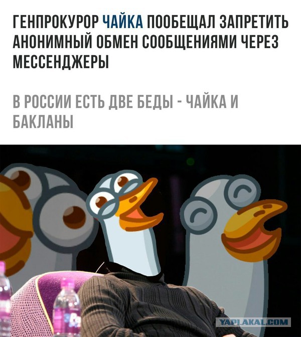 Подборка интересных и веселых картинок