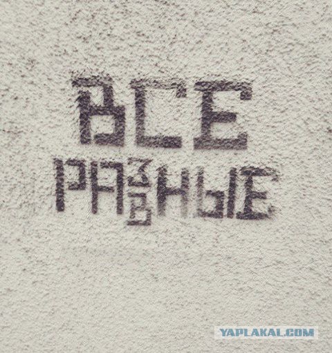 Путин виноват!