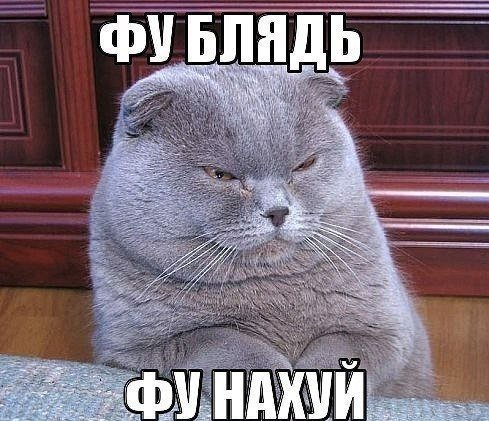 Короли пикапа... или как я искала мужика
