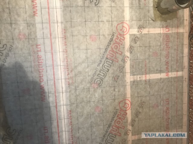 Как я пытался обшивать парилку липой