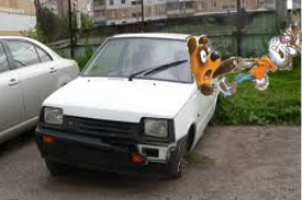 Гризли в тойоте. До и после