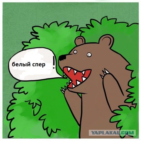 У знакомого ночью, в -41 сняли колеса