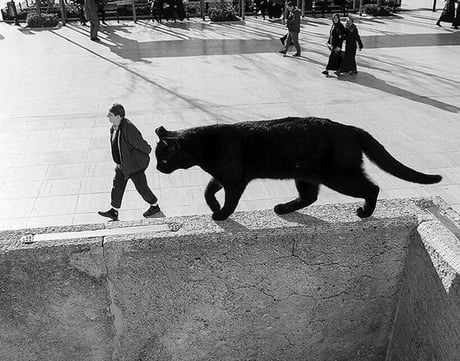 Немного милоты