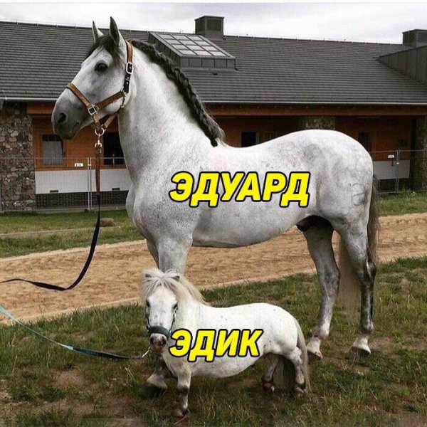 Прикольные картинки.
