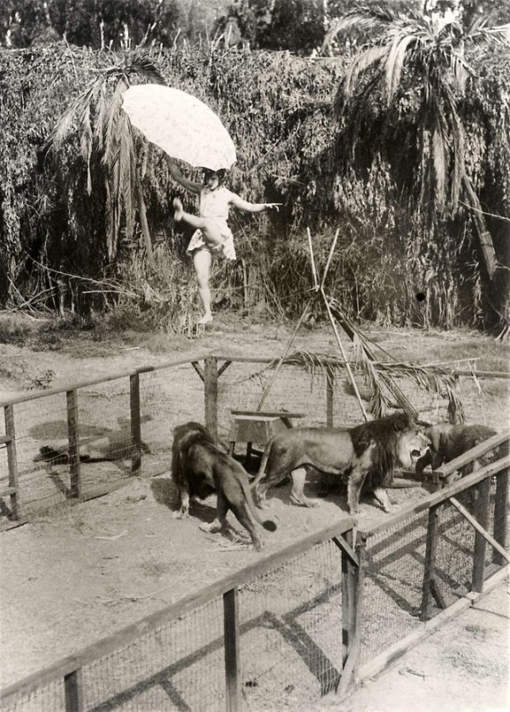 История в фотографиях