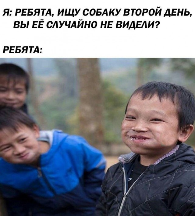 Нестандартный юмор