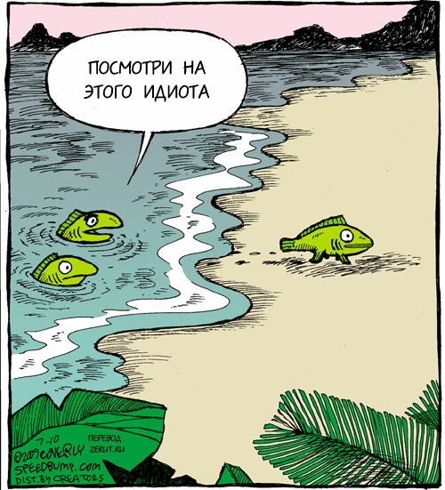Да что она себе позволяет?!