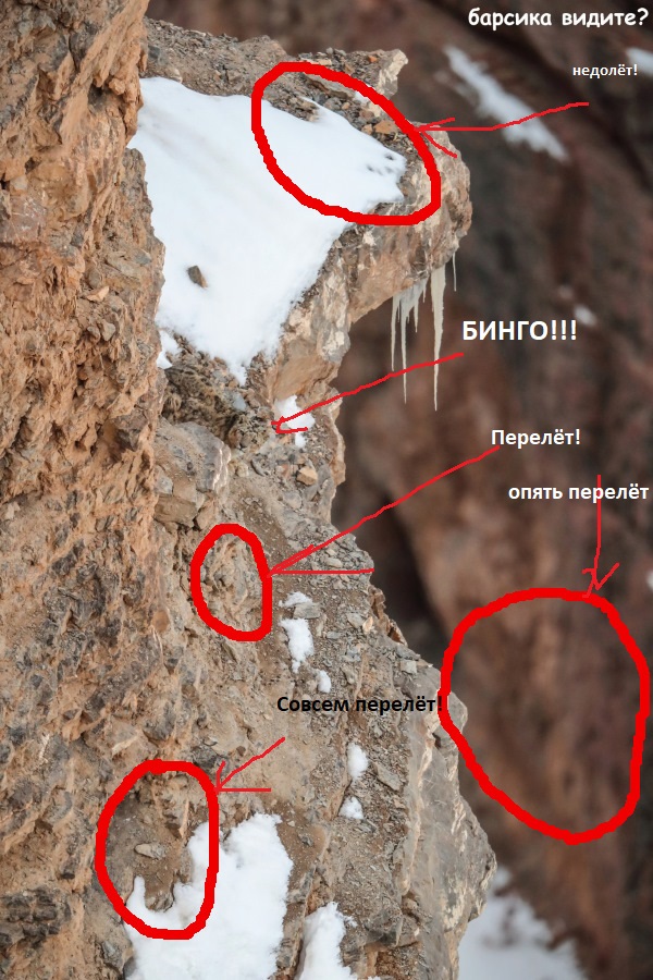 33 веселые картинки