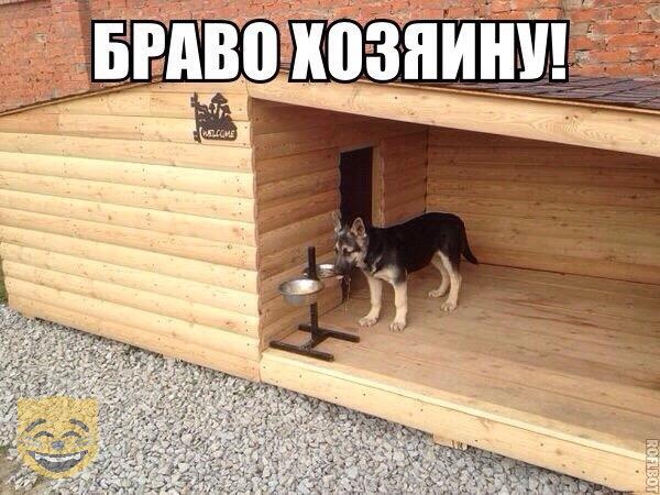 Немного картинок с надписями и без - 27