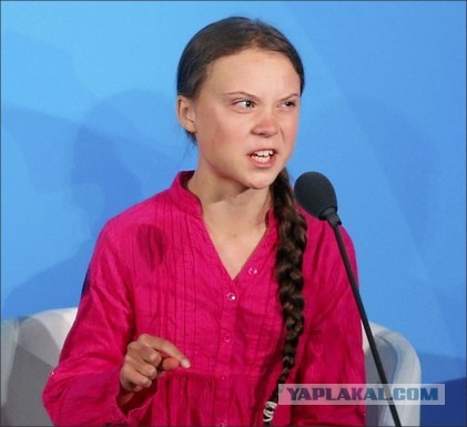 Из-за карантина в каналах Венеции вода стала чистой и туда вернулась рыба