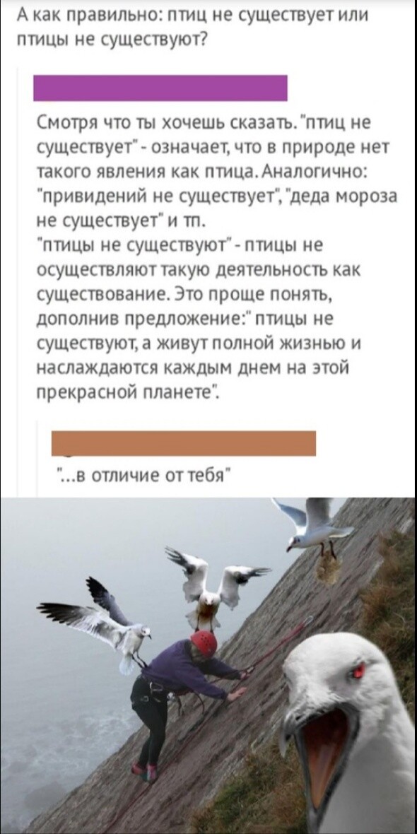 Чтиво