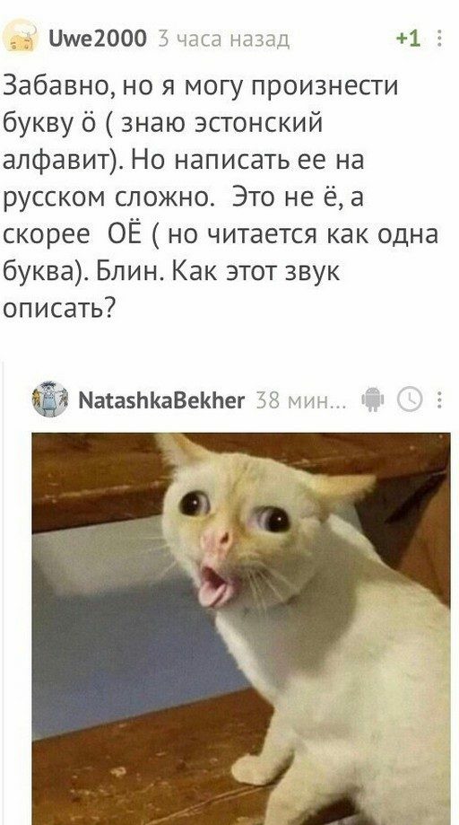 Немного картинок для настроения 21.07.20