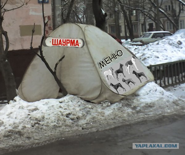 В кризис - рай даже в шалаше