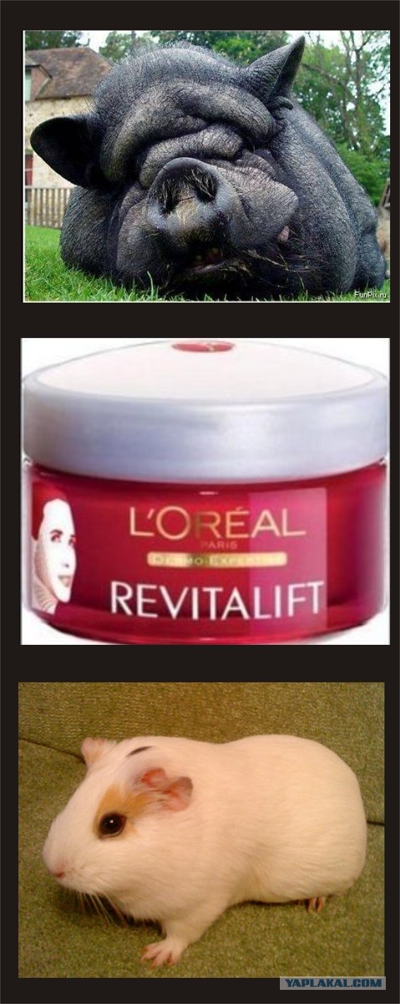 Фотожаба: L'Oreal разгладит все морщины