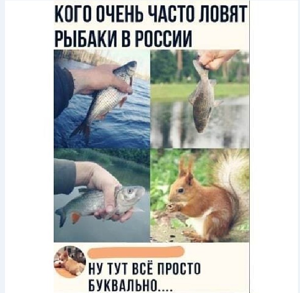 Картинки и мемы для настроения 010