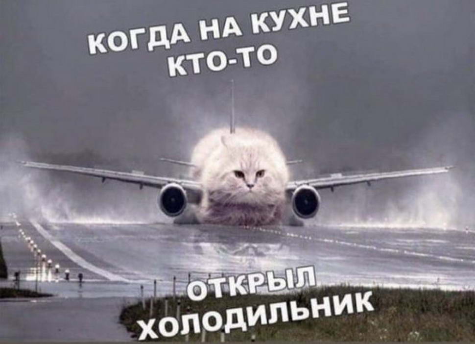 15076587.jpg