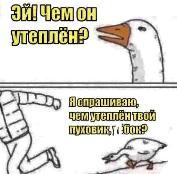 Кретинизмы из KO и KV 30.01.21