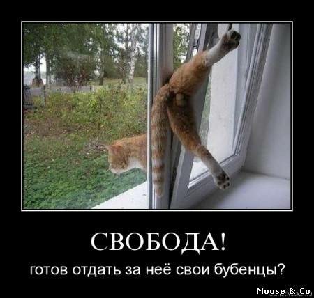 Побег из Шоушенка