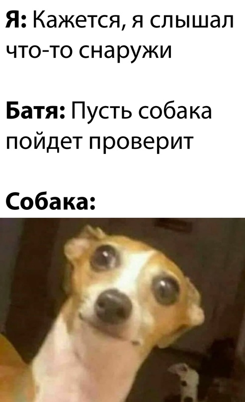 Весёлый полтишок 7.07