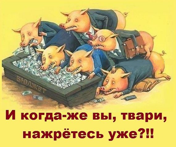 В Ярославской области идет уничтожение поголовья свиней, в частных хозяйствах