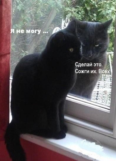 Маленькая подборка 05.09