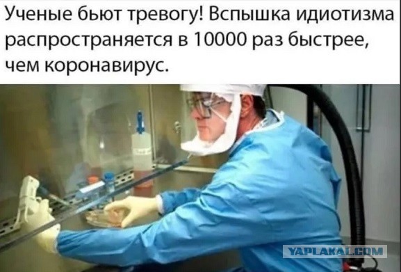 Профессор Ольга Акимушкина: коллективного иммунитета при коронавирусах не бывает