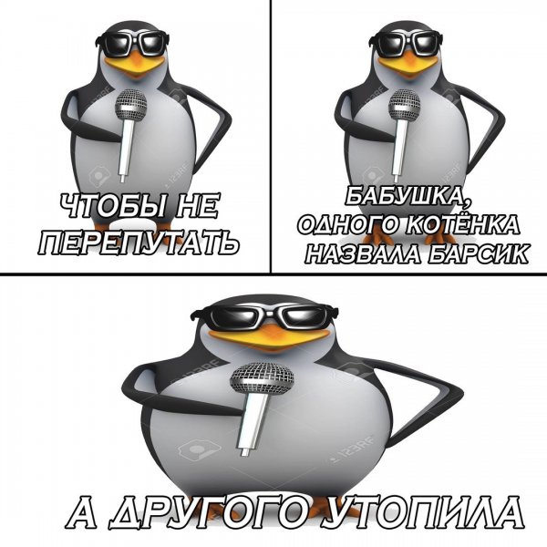 Весёлый полтишок 10.01