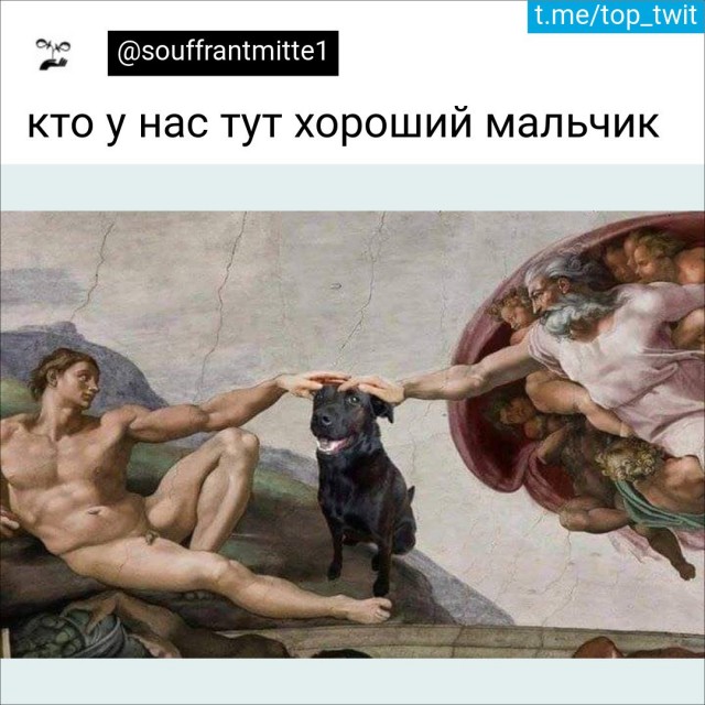 Так себе картинки 10.05.22